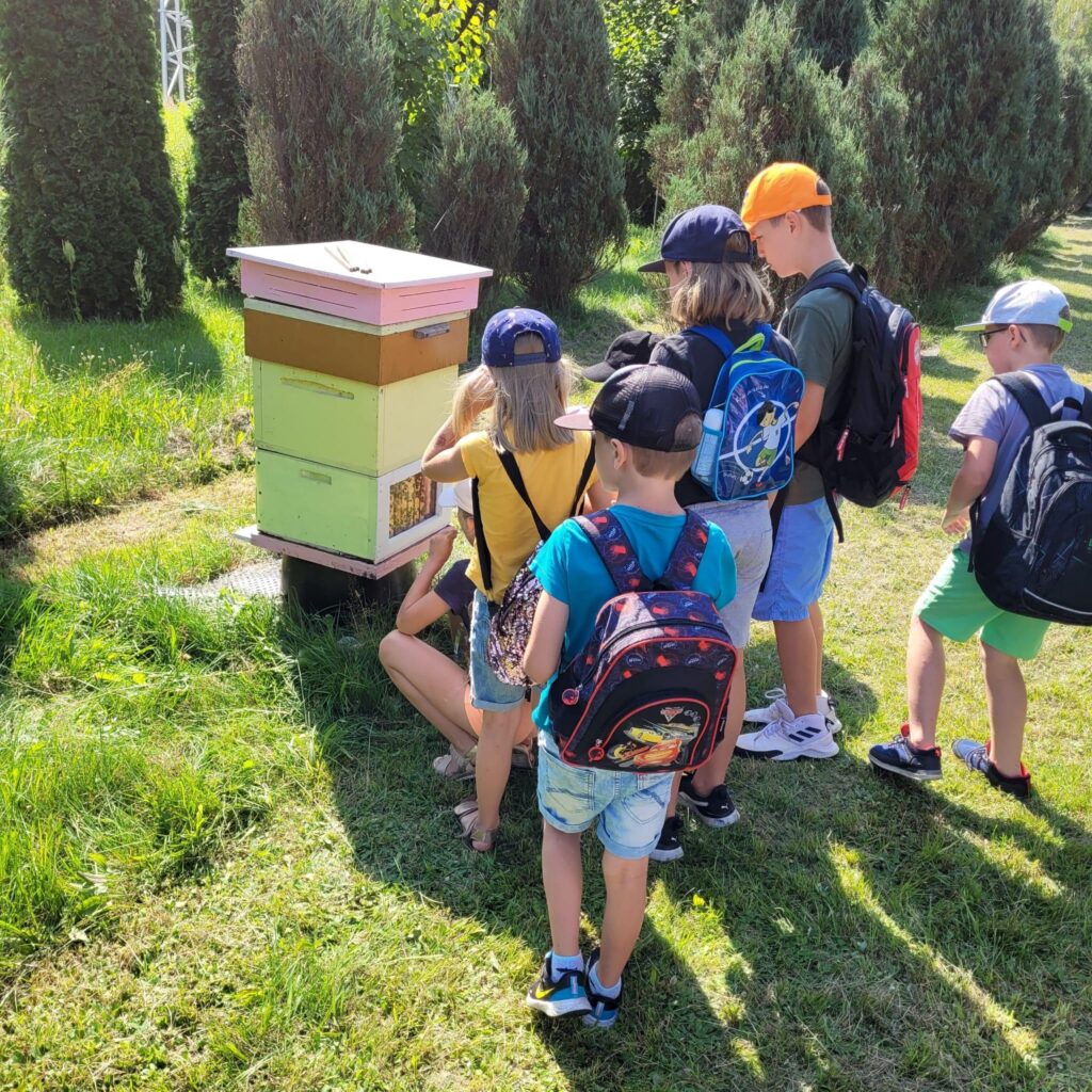 edukacja ekologiczna lokalnie