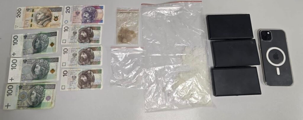 zatrzymanie powiat turecki